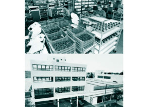 linea-tiempo-micro-1989